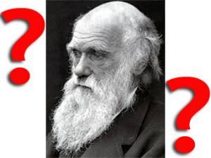 Ватикан признал теорию Дарвина